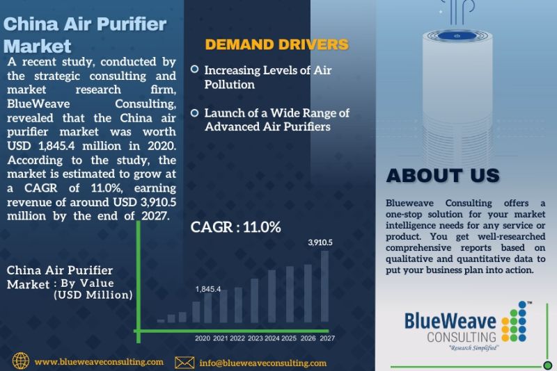 China air purifier market